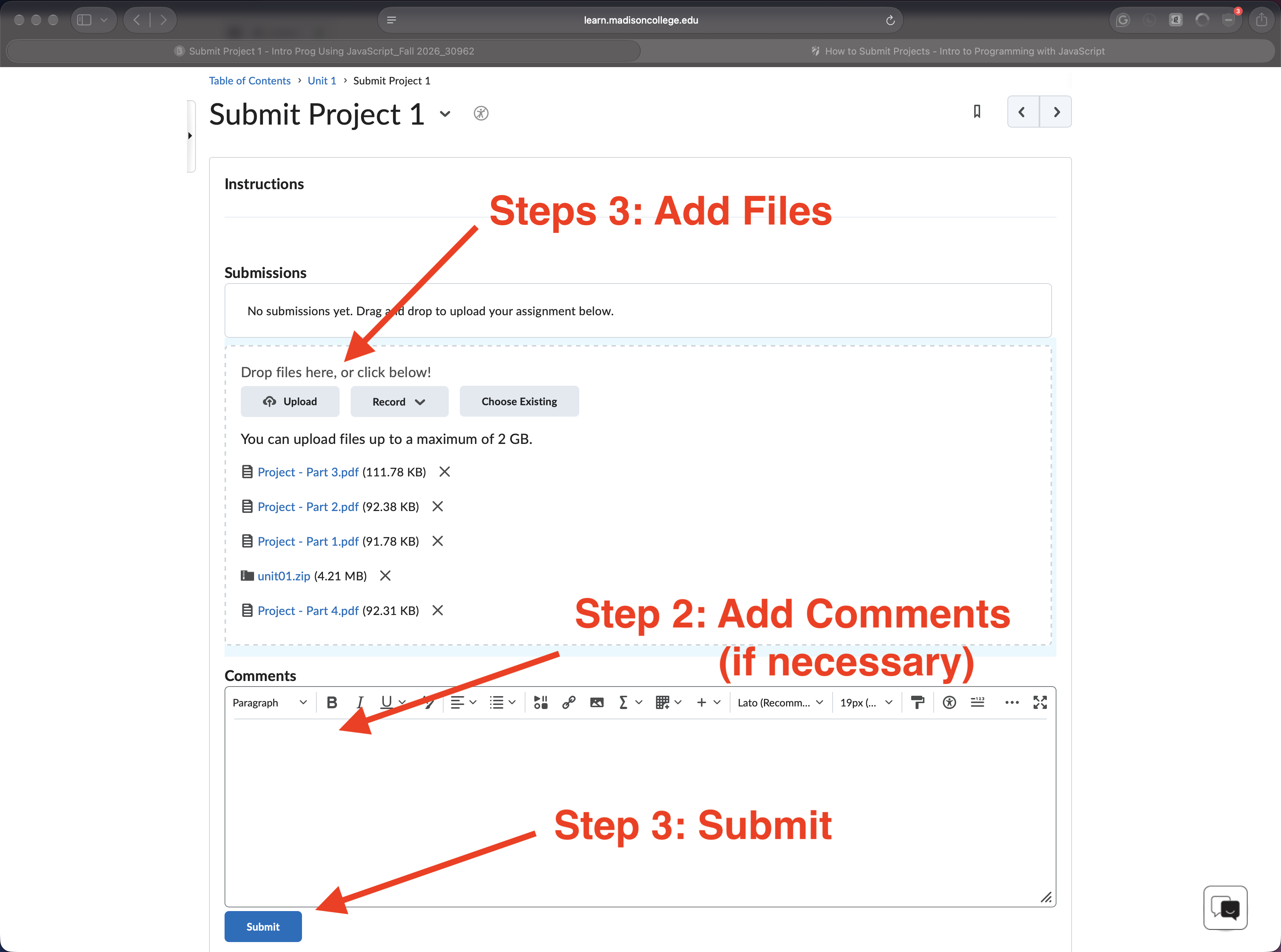 Screenshot of Project submission page